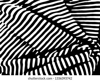 Zebra Stripes Pattern. Zebra print, animal skin, tiger stripes, abstract pattern, line background, fabric. Amazing hand drawn vector illustration. Poster, banner. Black and white artwork.