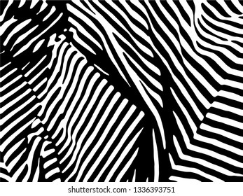 Zebra Stripes Pattern. Zebra print, animal skin, tiger stripes, abstract pattern, line background, fabric. Amazing hand drawn vector illustration. Poster, banner. Black and white artwork.