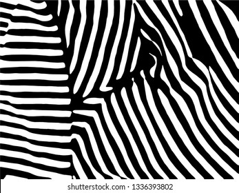 Zebra Stripes Pattern. Zebra print, animal skin, tiger stripes, abstract pattern, line background, fabric. Amazing hand drawn vector illustration. Poster, banner. Black and white artwork.