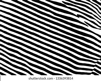 Zebra Stripes Pattern. Zebra print, animal skin, tiger stripes, abstract pattern, line background, fabric. Amazing hand drawn vector illustration. Poster, banner. Black and white artwork.