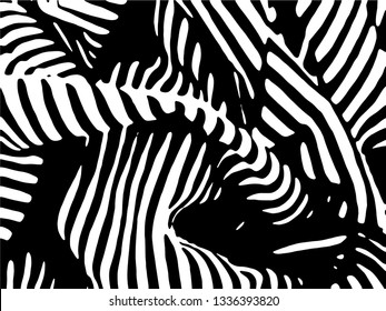 Zebra Stripes Pattern. Zebra print, animal skin, tiger stripes, abstract pattern, line background, fabric. Amazing hand drawn vector illustration. Poster, banner. Black and white artwork.