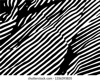 Zebra Stripes Pattern. Zebra print, animal skin, tiger stripes, abstract pattern, line background, fabric. Amazing hand drawn vector illustration. Poster, banner. Black and white artwork.