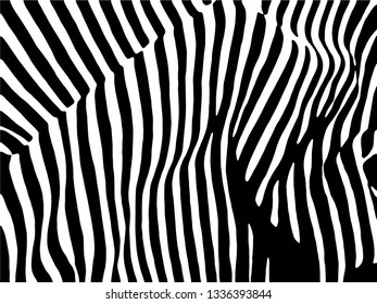 Zebra Stripes Pattern. Zebra print, animal skin, tiger stripes, abstract pattern, line background, fabric. Amazing hand drawn vector illustration. Poster, banner. Black and white artwork.