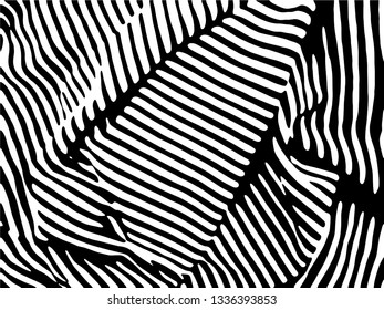 Zebra Stripes Pattern. Zebra print, animal skin, tiger stripes, abstract pattern, line background, fabric. Amazing hand drawn vector illustration. Poster, banner. Black and white artwork.