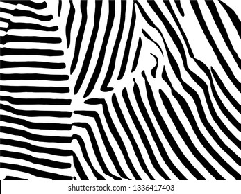 Zebra Stripes Pattern. Zebra print, animal skin, tiger stripes, abstract pattern, line background, fabric. Amazing hand drawn vector illustration. Poster, banner. Black and white artwork.