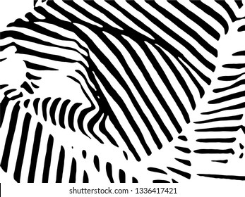 Zebra Stripes Pattern. Zebra print, animal skin, tiger stripes, abstract pattern, line background, fabric. Amazing hand drawn vector illustration. Poster, banner. Black and white artwork.