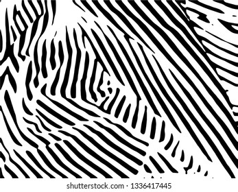 Zebra Stripes Pattern. Zebra print, animal skin, tiger stripes, abstract pattern, line background, fabric. Amazing hand drawn vector illustration. Poster, banner. Black and white artwork.
