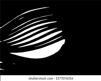 Zebra Stripes Pattern. Zebra print, animal skin, tiger stripes, abstract pattern, line background, fabric. Amazing hand drawn vector illustration. Poster, banner. Black and white artwork.