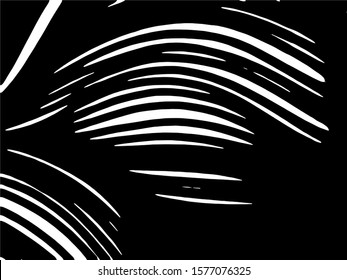 Zebra Stripes Pattern. Zebra print, animal skin, tiger stripes, abstract pattern, line background, fabric. Amazing hand drawn vector illustration. Poster, banner. Black and white artwork.