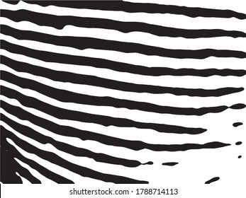 Patrón de rayas de cebra. Impresión cebra, piel animal, tigre rayas, patrón abstracto, fondo de línea, tela. Increíble ilustración vectorial dibujada a mano. Afiche, pancarta. Obra de arte en blanco y negro.