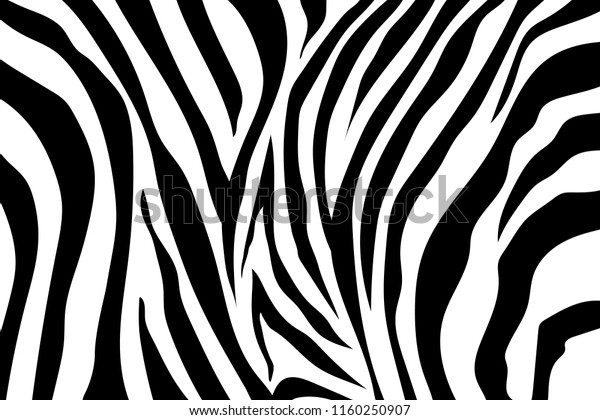 Zebra Stripes Pattern. Zebra print, animal\
skin, tiger stripes, abstract pattern, line background, fabric.\
Amazing hand drawn vector illustration. Poster, banner. Black and\
white artwork monochrome