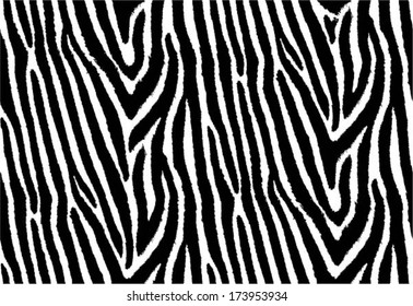 Zebra Stripes Seamless Pattern, nature background, tribal ornament, vector