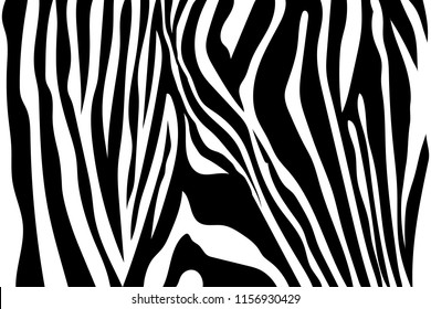 Zebra Stripes Seamless Pattern. Zebra print, animal skin, tiger stripes, abstract pattern, line background, fabric. Amazing hand drawn vector illustration. Poster, banner. Black and white artwork, 