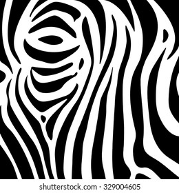 Zebra Stripes. Vector.