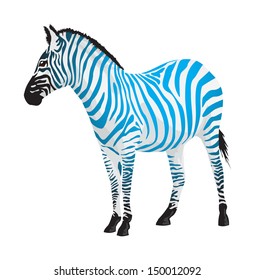 Zebra with strips of blue color. Vector illustration.