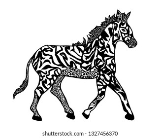 zebra in style  zenart isolate on white for coloring book 