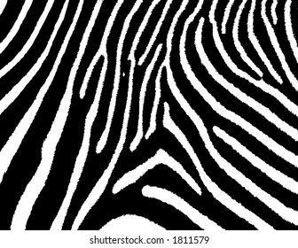 zebra texture