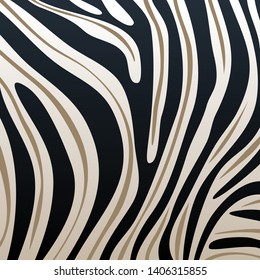 Zebra texture beckraund vector illustration