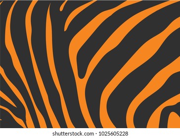 Zebra texture black orange pattern background vector illustration