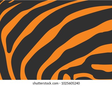 Zebra texture black orange pattern background vector illustration