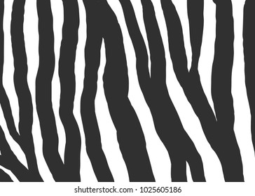 Zebra texture black white pattern background vector illustration