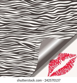 Zebra texture and kiss. Animal pattern and turn page with glamour print of lipstick. Vector illustration.