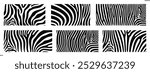 Zebra texture logo. Isolated zebra texture on white background