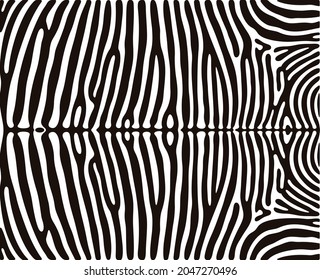 Zebra texture logo. Isolated zebra texture on white background