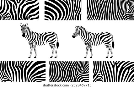 Zebra texture logo. Isolated zebra texture on white background