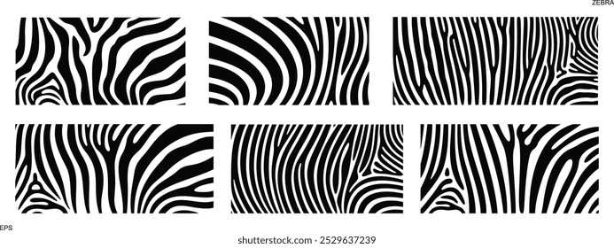 Zebra Textur Logo. Isolierte Zebra-Textur auf weißem Hintergrund