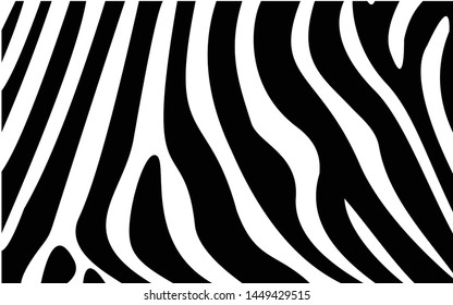 Zebra Texture, Zebra Pattern Black and white Texture Background Vector