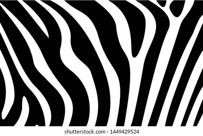 Zebra Texture, Zebra Pattern Black and white Texture Background Vector