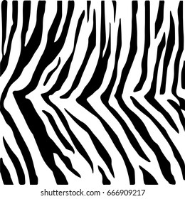 zebra texture skin Grunge overlay texture Abstract vector template