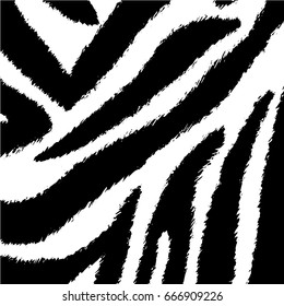 zebra texture skin Grunge overlay texture Abstract vector template