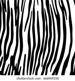 zebra texture skin Grunge overlay texture Abstract vector template