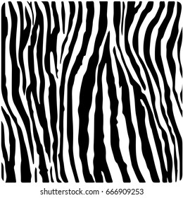 zebra texture skin Grunge overlay texture Abstract vector template