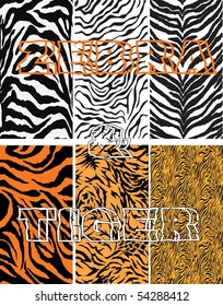 Zebra & Tiger Vector