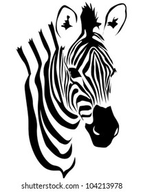 Zebra vector