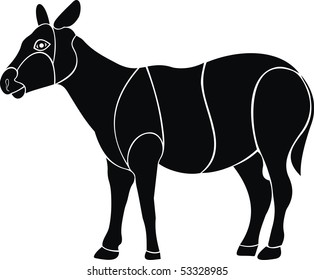 zebra vector