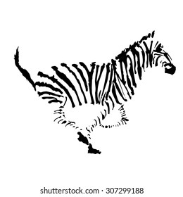 Zebra vector, abstract sketch illustration.  Isolated on white background. Running zebra, side view.