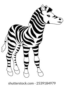 Arte vectorial de cebra, arte de línea de cebra, dibujo de cebra