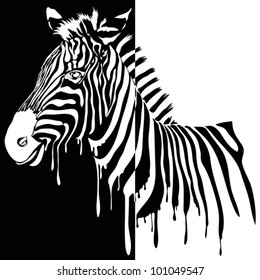 Zebra vector black and white. Abstract safari animal design with stripes made from paint smudges