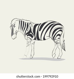 zebra vector, Eps 10