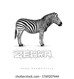 vector cebra con estilo dibujado a mano, ilustración de animales negros y blancos