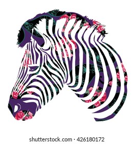 zebra - vector, illustration