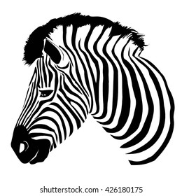 Zebra Vector Illustration Stock Vector (Royalty Free) 426180175 ...