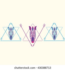 Zebra - vector illustration