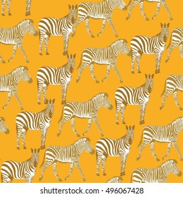 Zebra - vector illustration