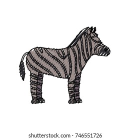 zebra  vector illustration