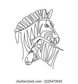 Zebra vector illustration drawn in line art style